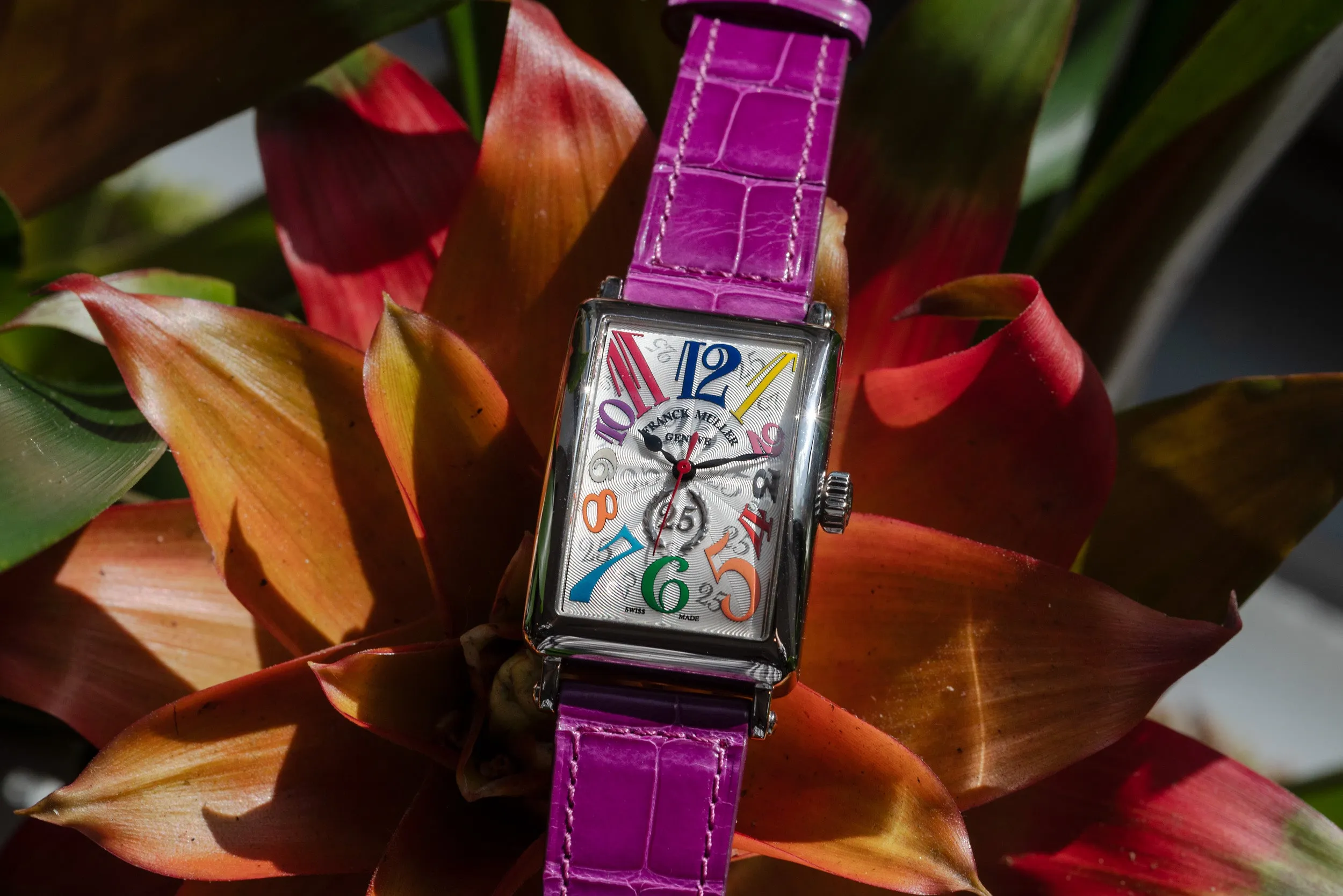 Franck Muller Long Island Color Dreams 25th Anniversary Collection