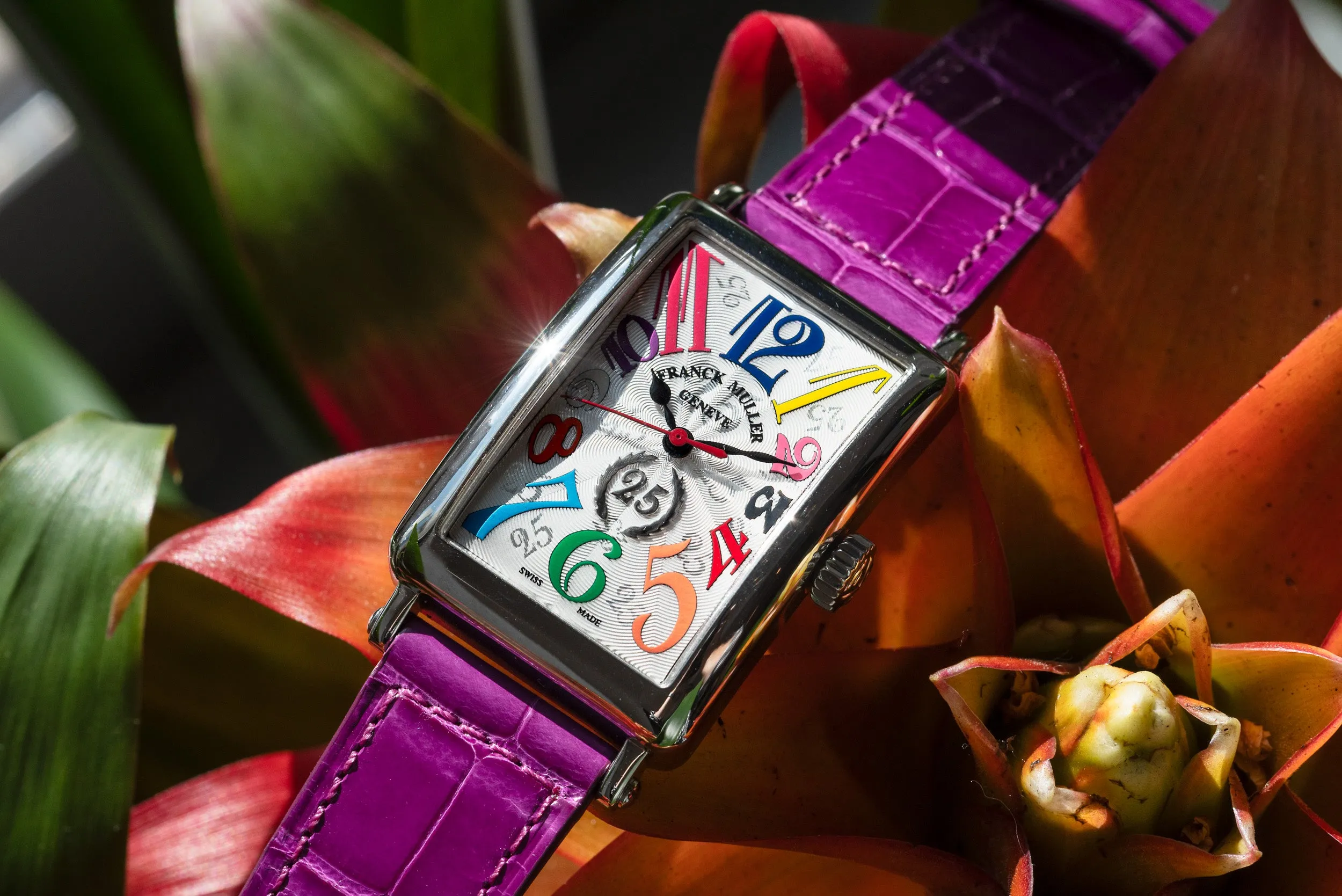 Franck Muller Long Island Color Dreams 25th Anniversary Collection