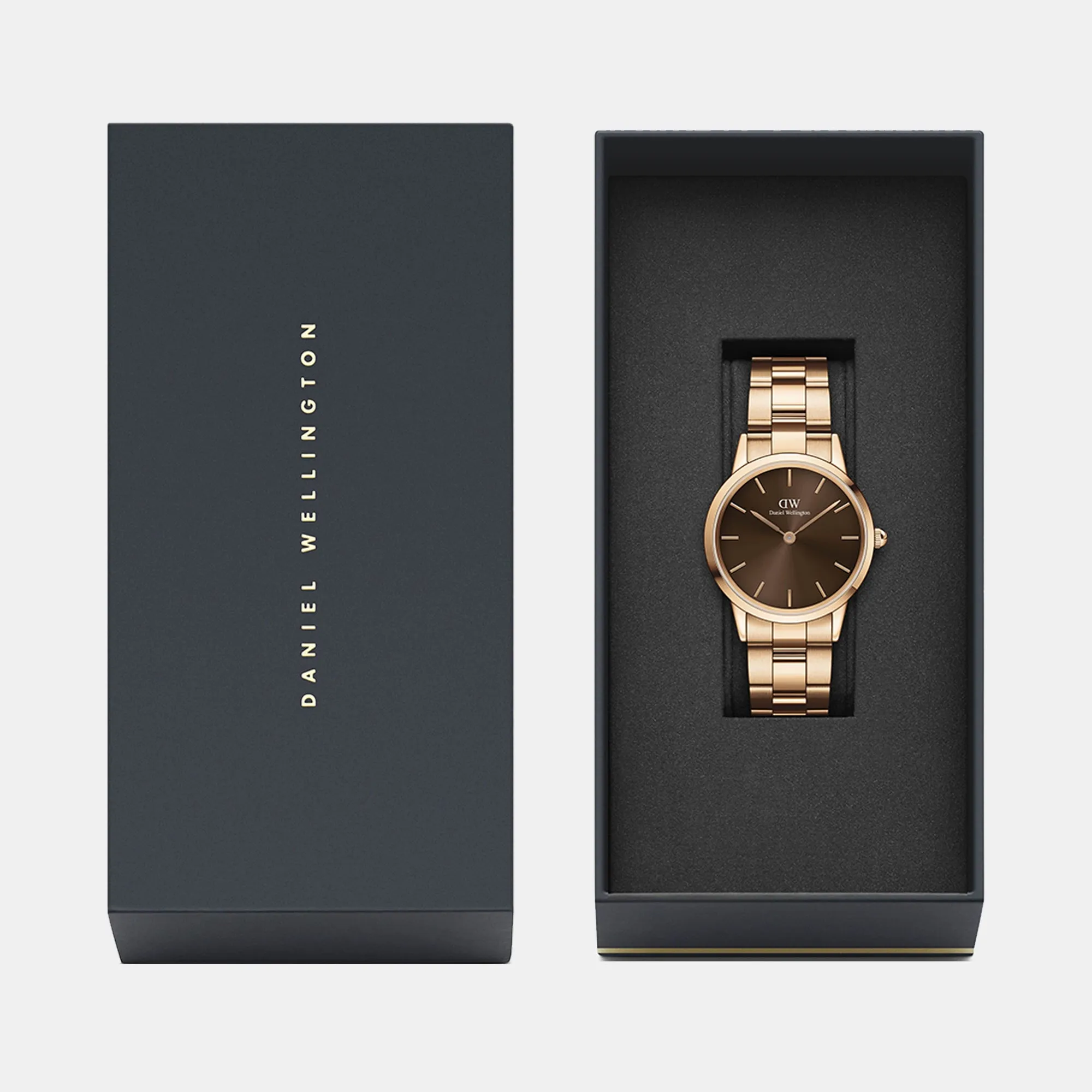 Iconic Women's Brown Analog Stainless Steel Watch DW00100462