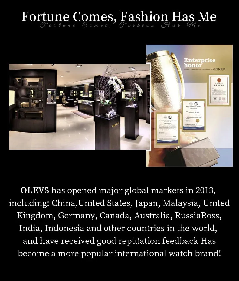 OLEVS Man Watch New Stainless Steel Waterproof Moon Phase Chronograph Classic Quartz Wristwatch Brand Original Men's Watch