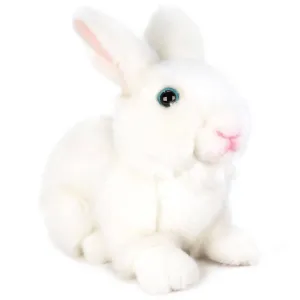 Wren the White Rabbit